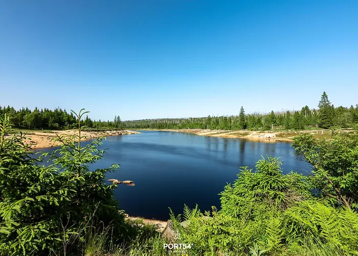 Ruhige Ecke - Im Harz Tatil Evi